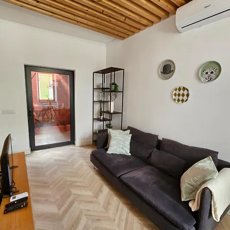 Center Terrace Apartment